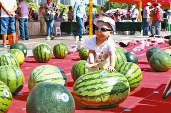 浙江龙泉吃瓜事件真相视频,揭秘背后真相与网络舆论风暴