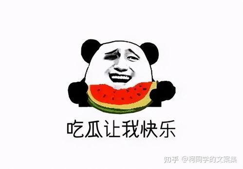 视频吃瓜文案搞笑图片大全,笑料横生！视频吃瓜文案搞笑图片大盘点