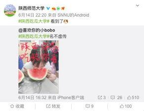 大学学姐吃瓜视频网站,揭秘校园热门事件背后的真相