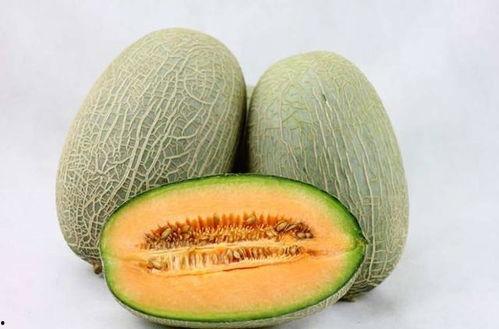 新疆姑娘吃哈密瓜的视频,现场品尝哈密瓜的甜蜜滋味