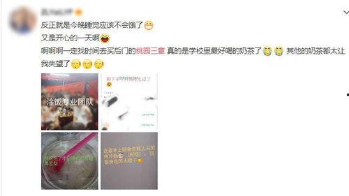 益禾堂吃瓜视频在线观看,揭秘网红饮品背后的真相