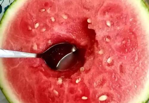 勺子吃哈密瓜视频在线观看,一场趣味横生的美食盛宴
